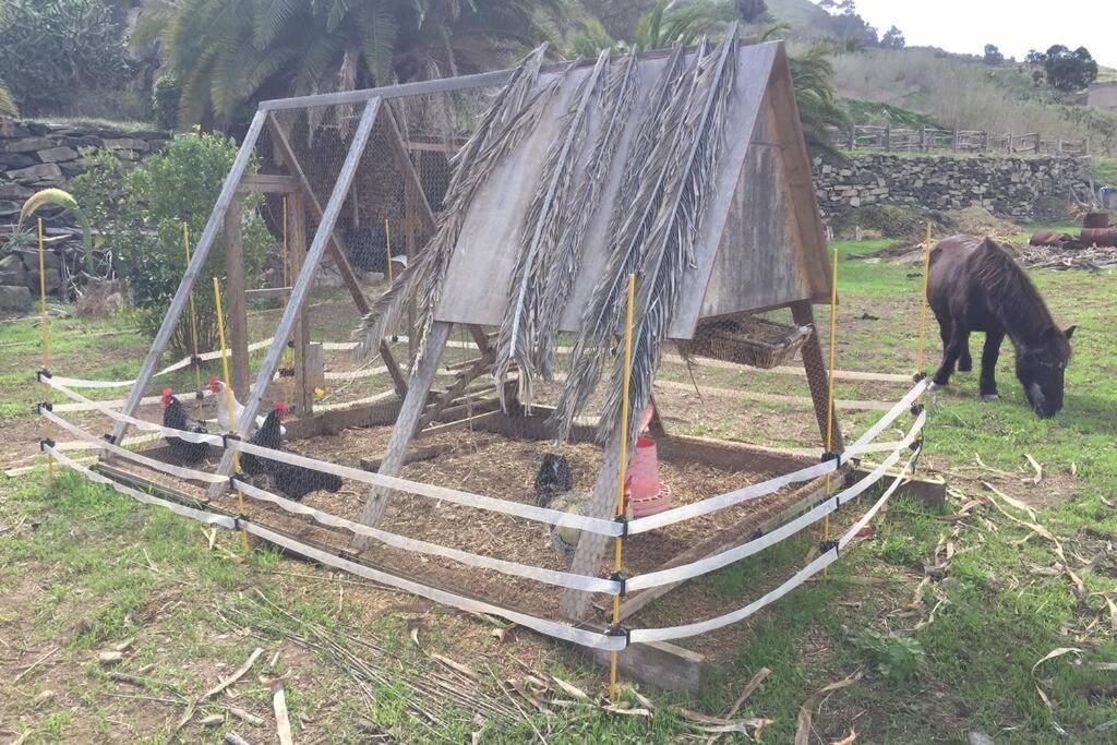 דירות ארוקאס Casita Bioclimatica En El Campo מראה חיצוני תמונה