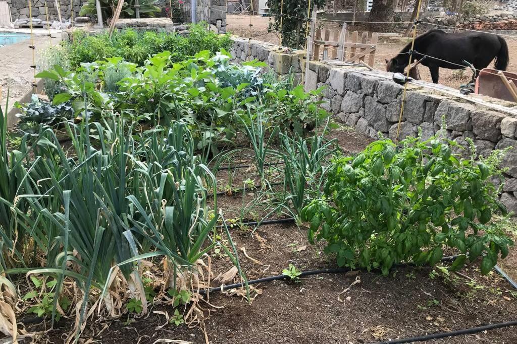 דירות ארוקאס Casita Bioclimatica En El Campo מראה חיצוני תמונה