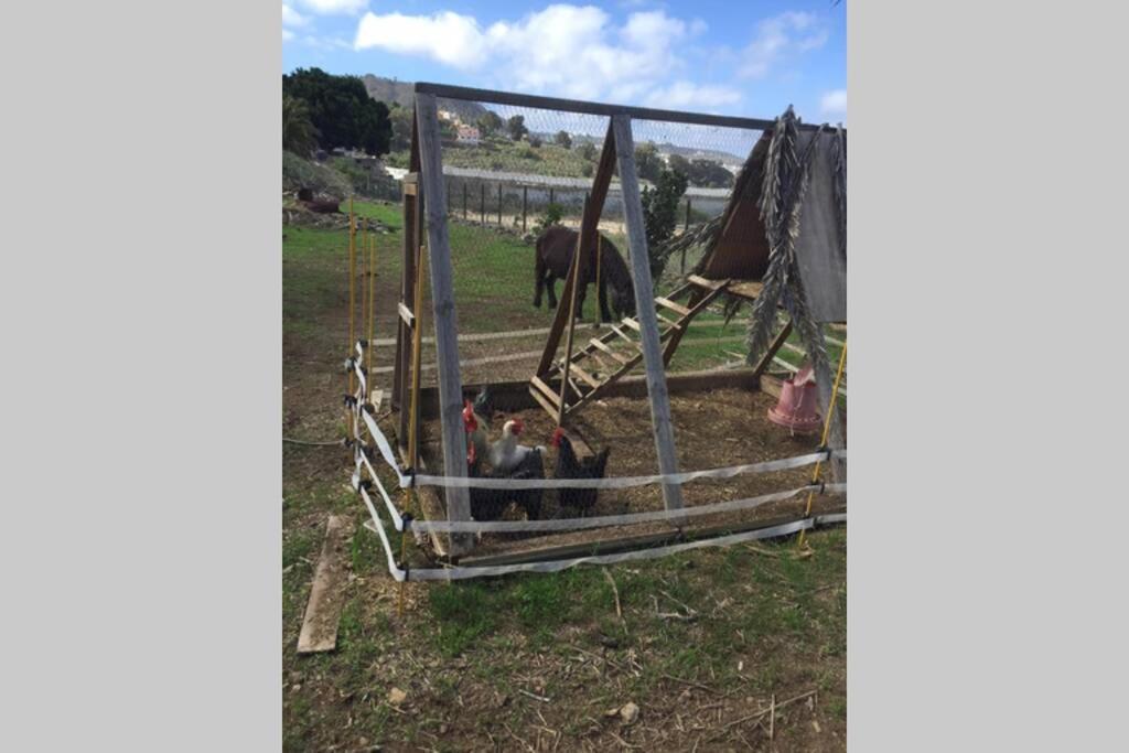 דירות ארוקאס Casita Bioclimatica En El Campo מראה חיצוני תמונה